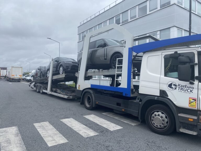 WhatsApp Image 2026-02-09 at 3.37.54 PM (2)