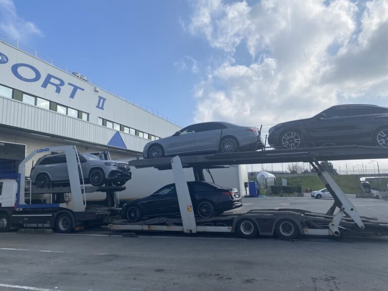 WhatsApp Image 2026-02-09 at 3.37.54 PM