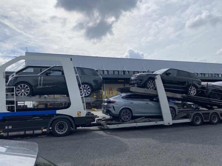 WhatsApp Image 2026-02-09 at 3.37.55 PM